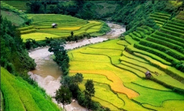 Sapa